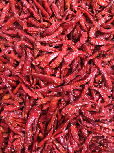 ỚT KHÔ NGUYÊN TRÁI LOẠI I 100G