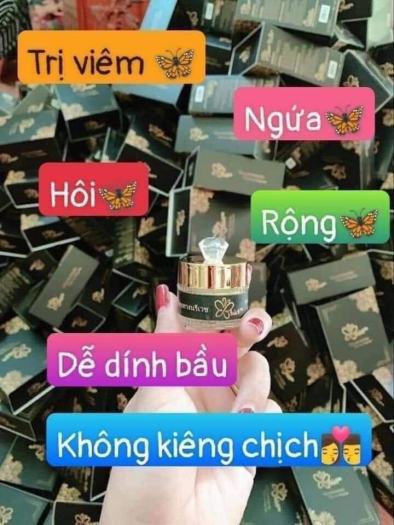 [HCM] Nguyên hộp viên đặt briar thảo mộc tầm xuân thái lan