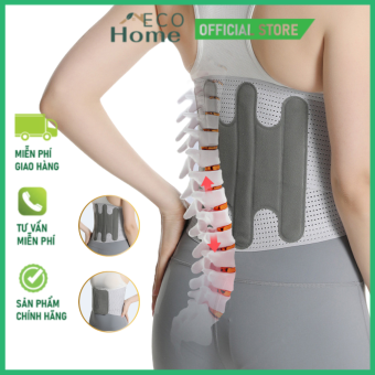 Đai lưng cột sống, đai chống gù lưng hỗ trợ nắn thẳng và kéo giãn cột sống DK101