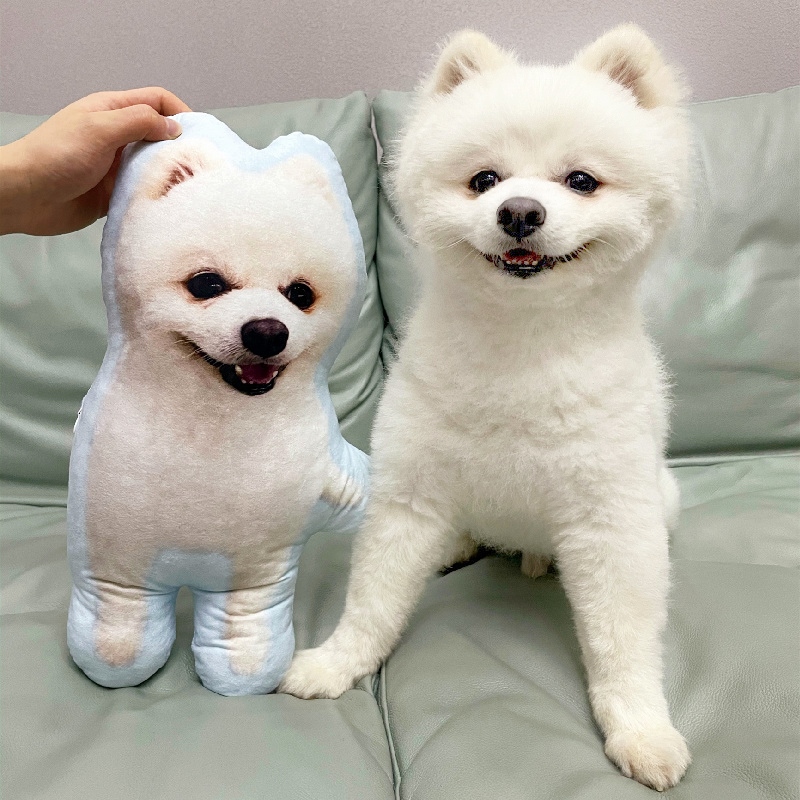dog into stuffed animal