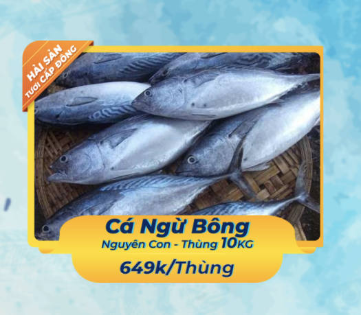 Cá Ngừ Bông Nguyên Con Đông Lạnh - Thùng 10Kg