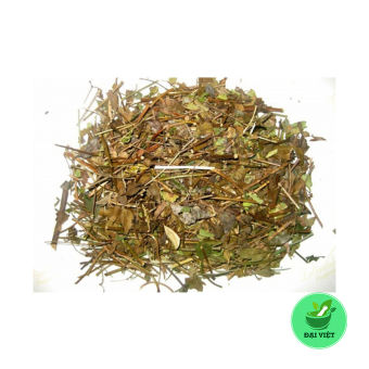 Chè vằng sẻ khô (gói 1kg) - DV004