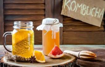 nấm Scoby Kombucha, nấm thủy sâm, con giống làm trà kombucha, trà bất tử , Con men Scoby kèm nước mồi làm trà Kombucha nấm scoby