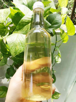 Dầu dừa nguyên chất - nấu thủ công - 500ml