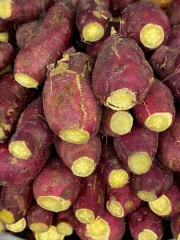 Khoai Lang NH.ÂT. Đà Lạt Ruột V.àng - Hàng Tuyển Loại 1 - Bở - Ngọt ( VIDIEO ẢNH THẬT )