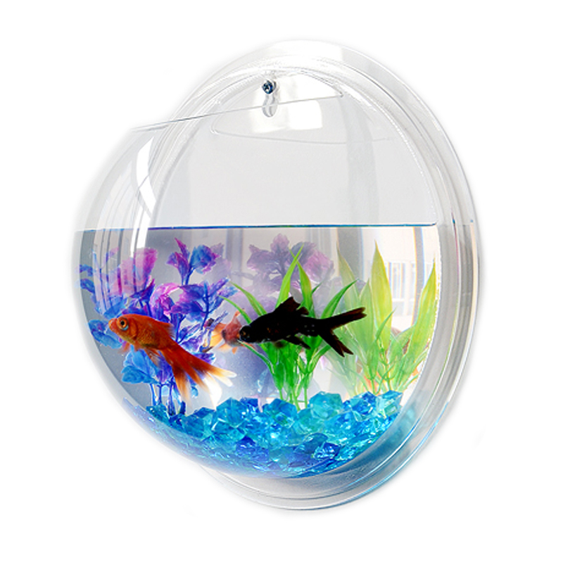 mounted fish tank