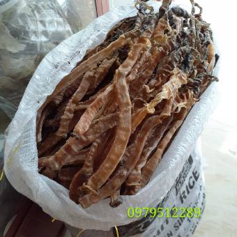 Sá Sùng Khô Nha Trang Size Lớn 1Kg Dùng Nấu Phở