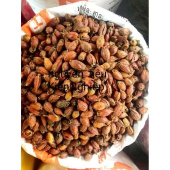 hạt dành dành, hạt chi tử khô   500gram