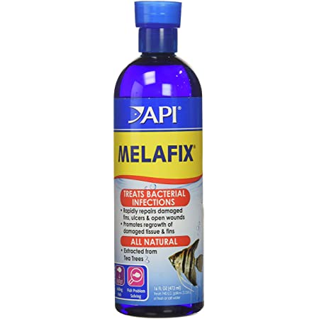 Api melafix - thảo dược chăm sóc cá nước ngọt và nước mặn | cá rồng, la hán, cá vàng