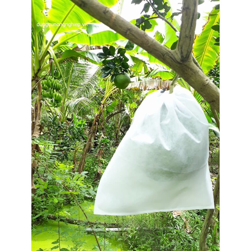 Bao bưởi Da Xanh Vải không dệt chuyên dụng 30x35