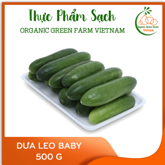 Dưa leo baby (500g) - [Giao nhanh TPHCM]