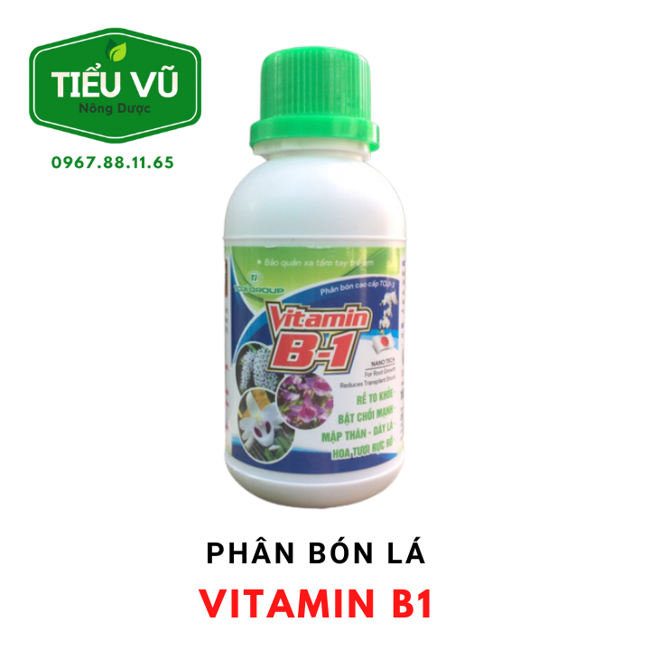 Phân bón Vitamin B1 kích rễ, hoa tươi lâu 100ml