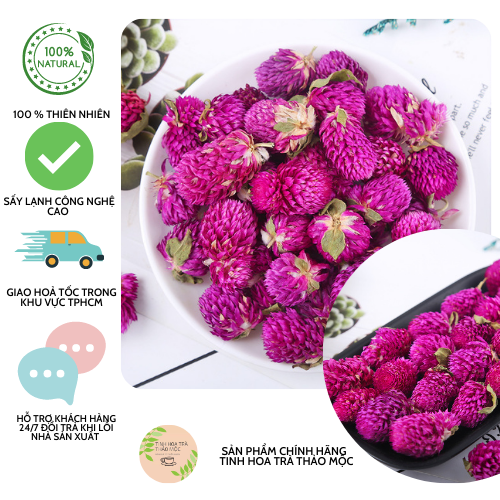 Ảnh thật cúc bách nhật 100 gram_tinhhoatrathaomoc