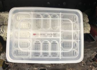 Hộp ấp trứng bò sát