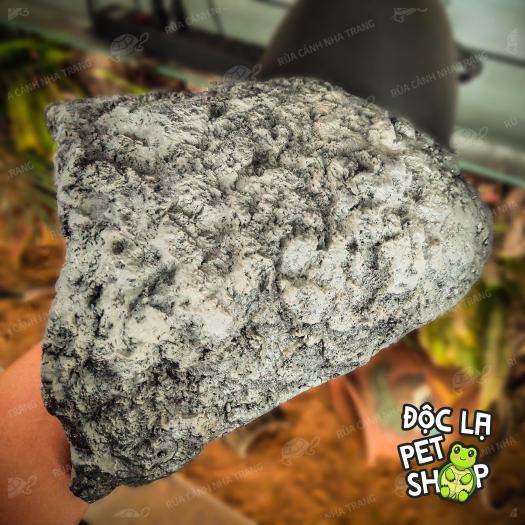 HANG TRÚ CHO BÒ SÁT, THÚ CƯNG NHỎ CÁ CẢNH, DECOR HỒ CÁ