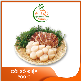 Cồi sò điệp thịt (300g) - Thích hợp với các món nướng, xào, nấu cháo/súp - [Giao nhanh TPHCM]