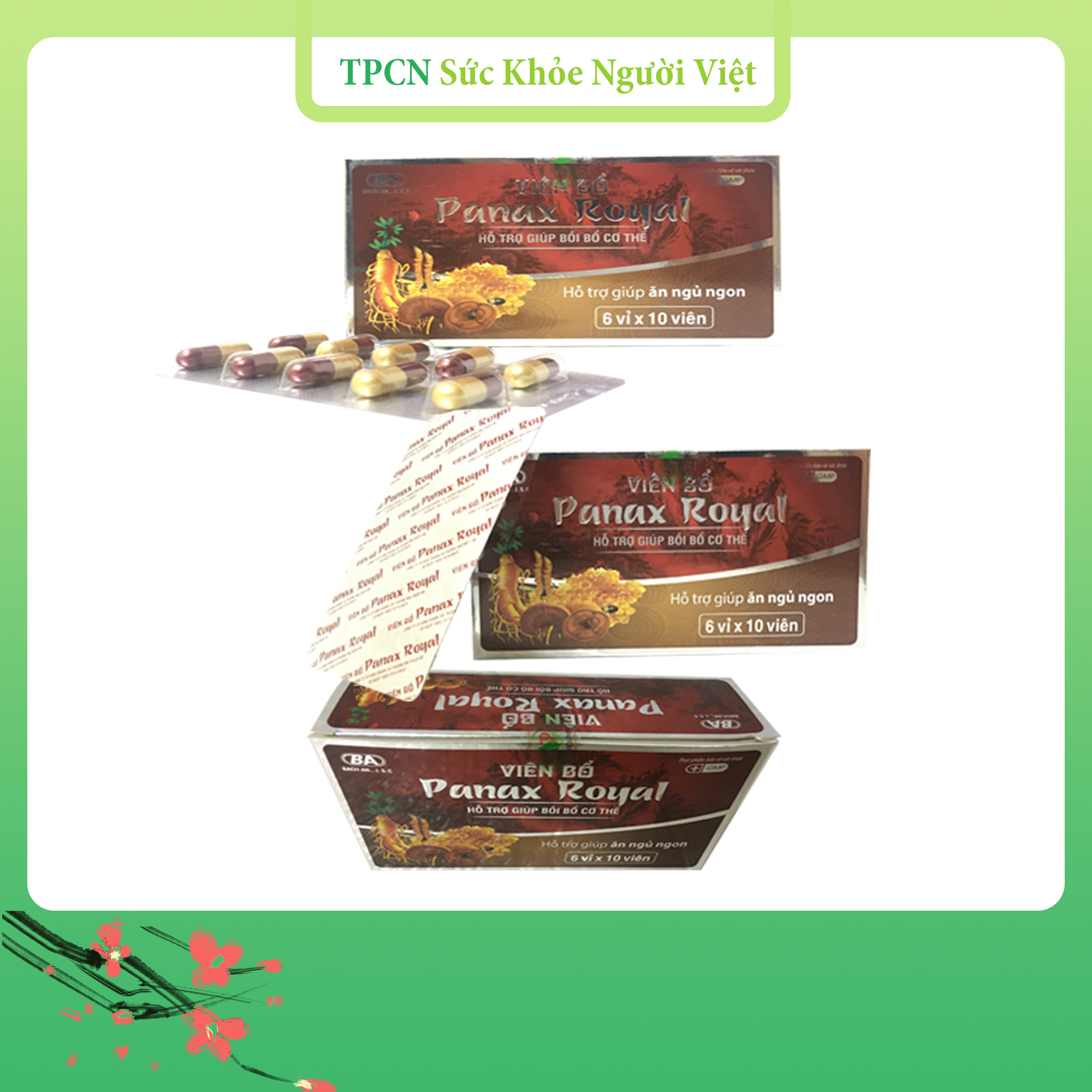 [COMBO 3 HỘP] TPCN [Ăn ngon Ngủ ngon] - Viên Bổ Panax Royal (Hộp 6 vỉ x 10 viên) - Giúp bồi bổ cơ thể, tăng cường sức đề kháng, tăng cường hấp thu và chuyển hóa chất dinh dưỡng. Giúp ăn ngon, ngủ ngon.
