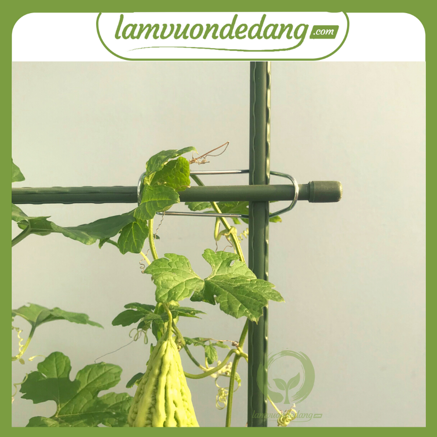 [HCM]10 KẸP SẮT LÀM GIÀN CÂY LEO - KẸP SAIEN - Full size - Giúp giữ ống tre thép tạo khung trồng cây