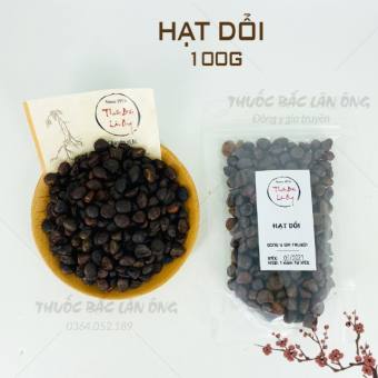 Hạt Dổi Nếp Tây Bắc 100g  - Hạt Dổi Rừng