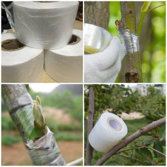 Giấy Ghép Cây Tự Hủy Rộng 5Cm - Băng Keo Ghép Cây Giúp Bảo Vệ Mối Ghép-Băng Ghép Cây, Màng Ghép Cây, Dây Quấn Mối Ghép