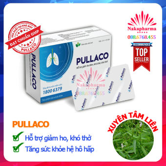 Pullaco có chứa Xuyên Tâm Liên - Hỗ trợ bổ phế, giảm ho, khò khè khó thở, long đờm, ngừa viêm phế quản