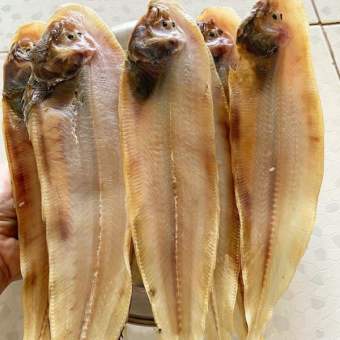 KHÔ CÁ LƯỠI TRÂU LOẠI TRUNG   1kg