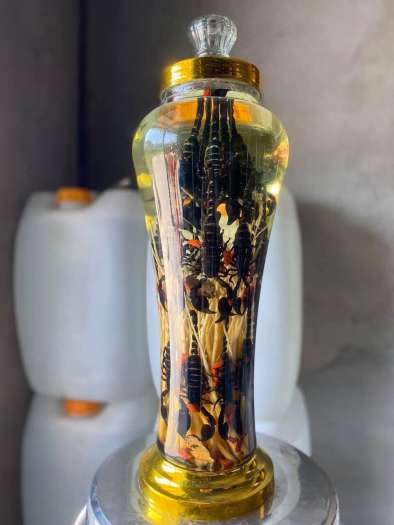 Bọ cạp ngâm bình 7L 30 con to