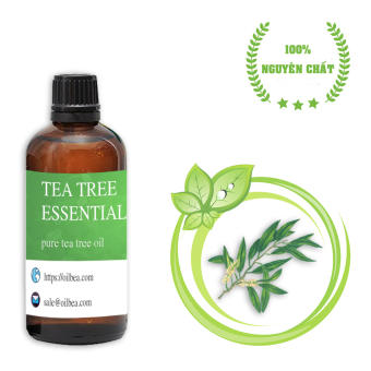 Tinh Dầu Tràm Trà Tea Tree Oil 10ml 50ml 100ml