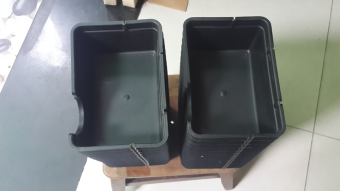 Hang trú dành cho bò sát nhỏ