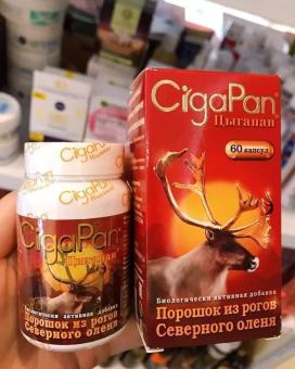 NHUNG_HƯƠU_NGA CIGAPAN - DATE 2025