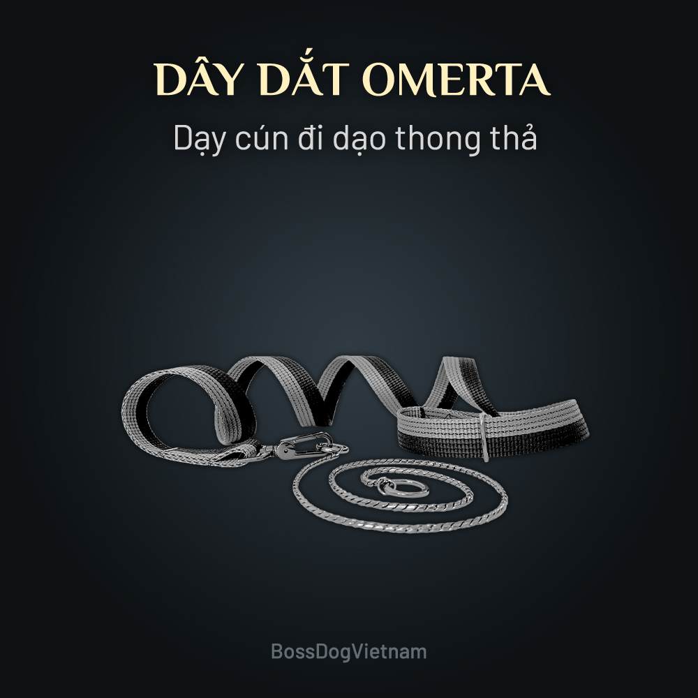 Dây dắt cho chó đi dạo kèm vòng cổ trung thành BossDog