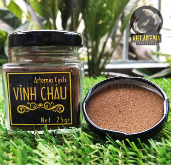 Artemia Vĩnh Châu 25g - Trứng Artemia Tỉ lệ nở cao