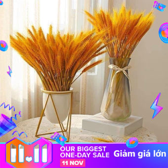 Bông lúa mạch vàng loại VIP 1 chụp ảnh hoặc trang trí nhà cửa, Bông Lúa Mạch Khô Decor Trang Trí - Tài Lộc Phát Tài