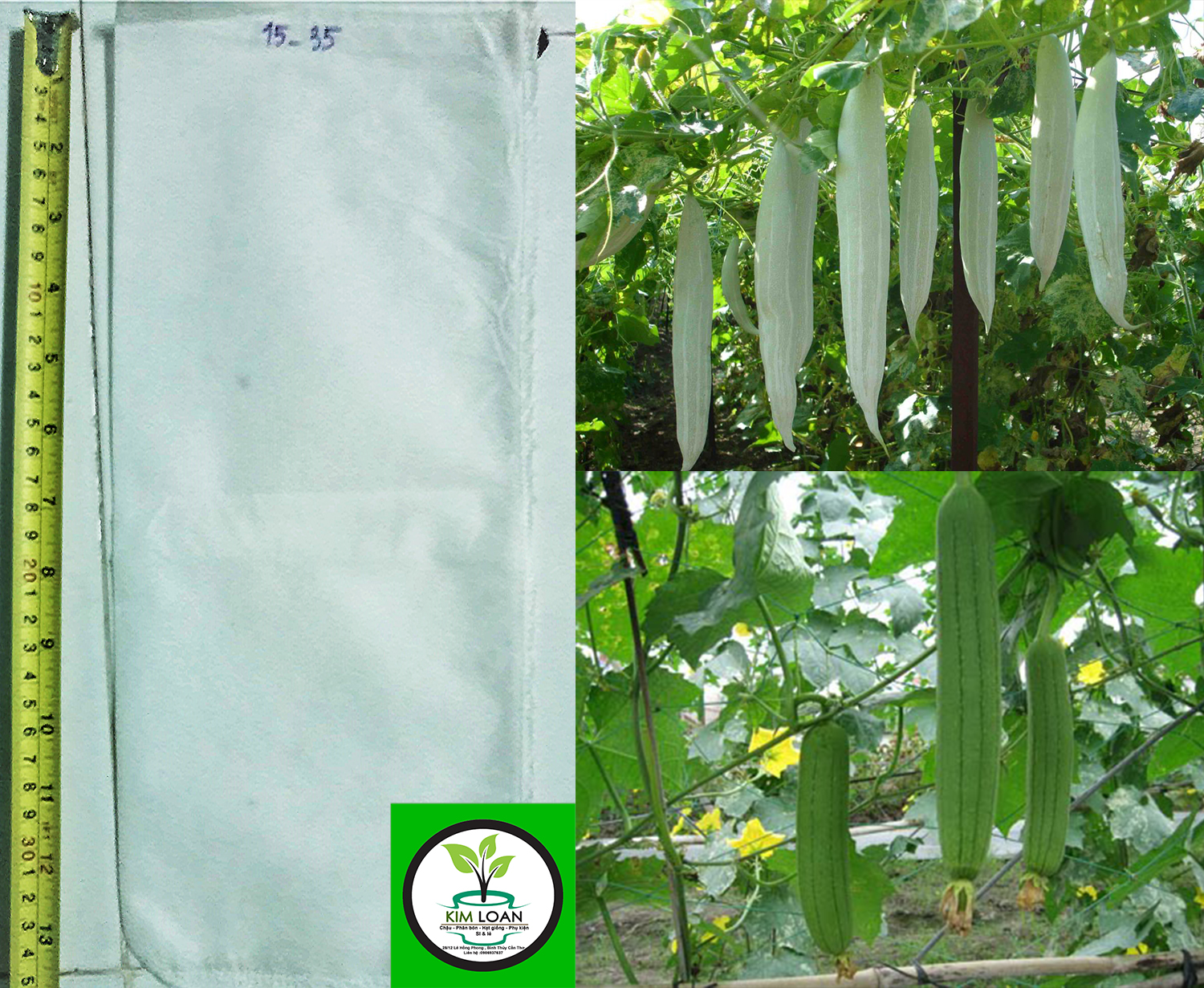 Combo 50 túi bao trái 15x35cm vải không dệt chuyên dùng để bao mướp và bầu [NHẬN BÁN SỈ, GIAO TOÀN QUỐC]