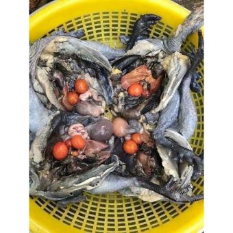 GÀ ÁC 1 con (500gr-800gr con có trứng con không có trứng)