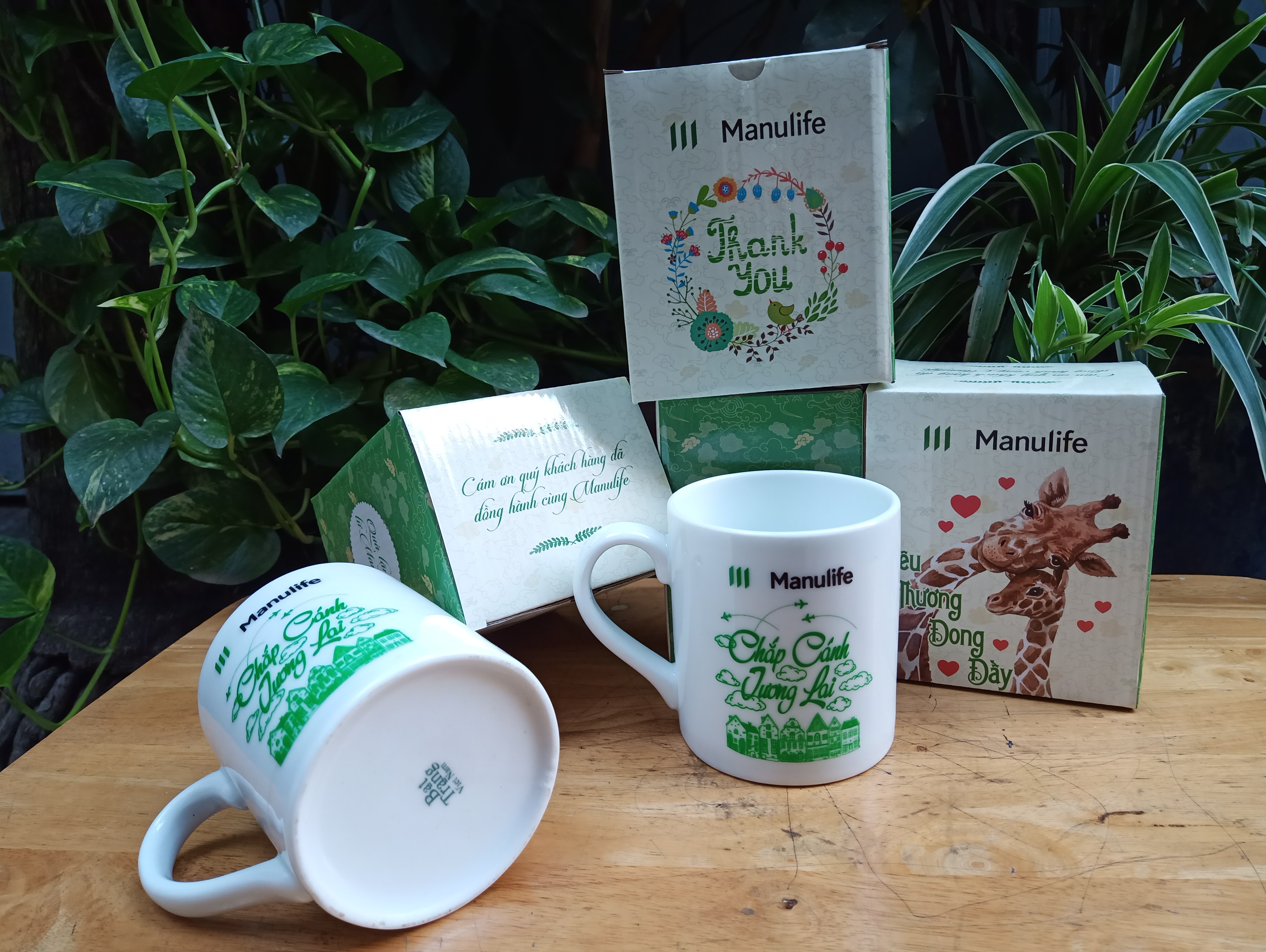 Ly sứ bát tràng dày đẹp - quà tặng manulife