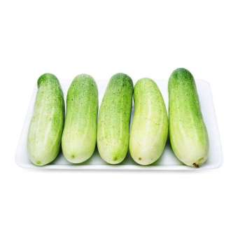 Dưa chuột ( dưa leo) WinEco gói 500g