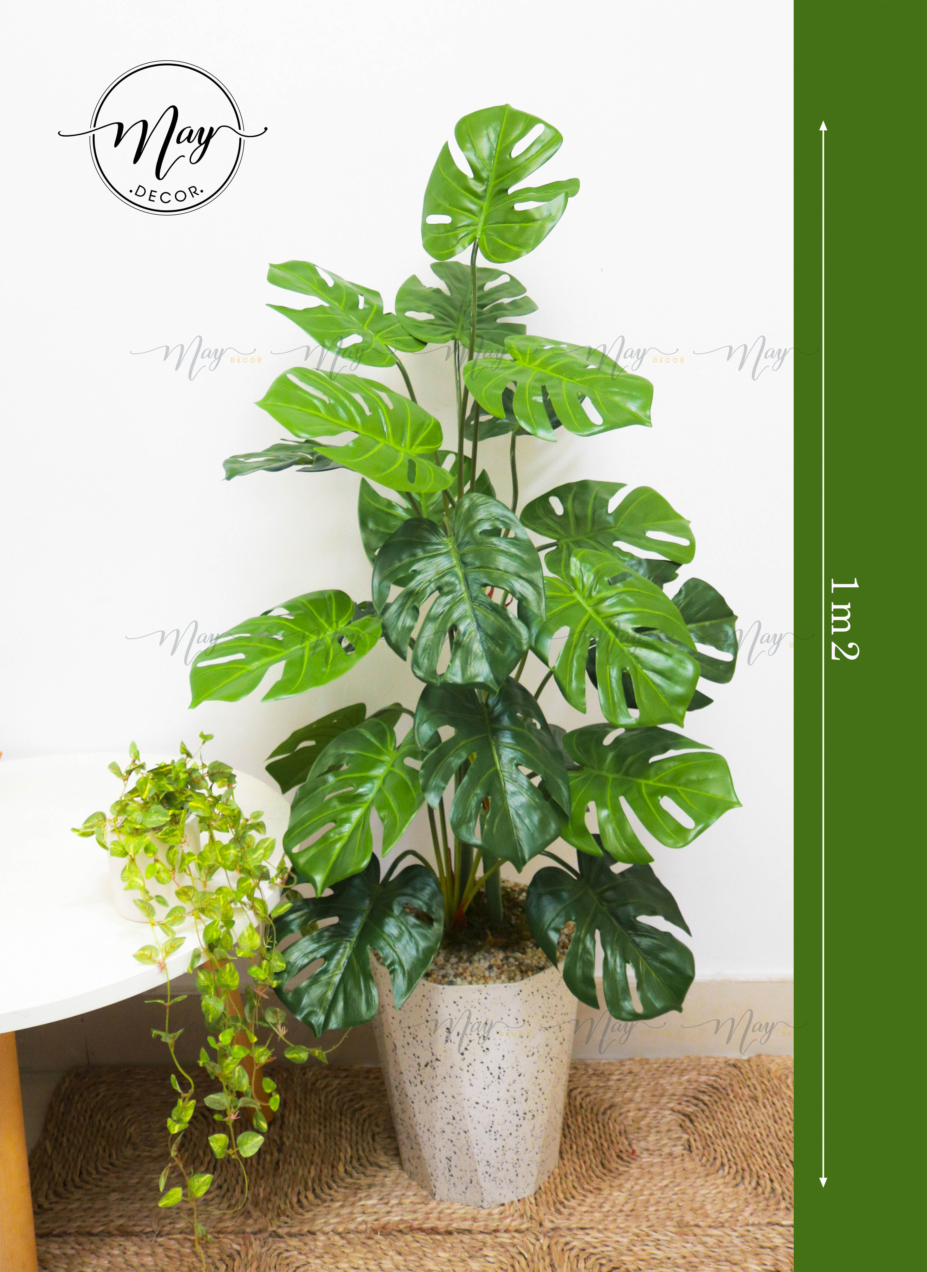 Cây giả cao cấp, môn xanh, trầu bà kèm chậu 70cm, 1m2