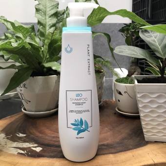 Dầu Gội Phục Hồi Tóc Hư Tổn Prosee Leo Shampoo 800ml