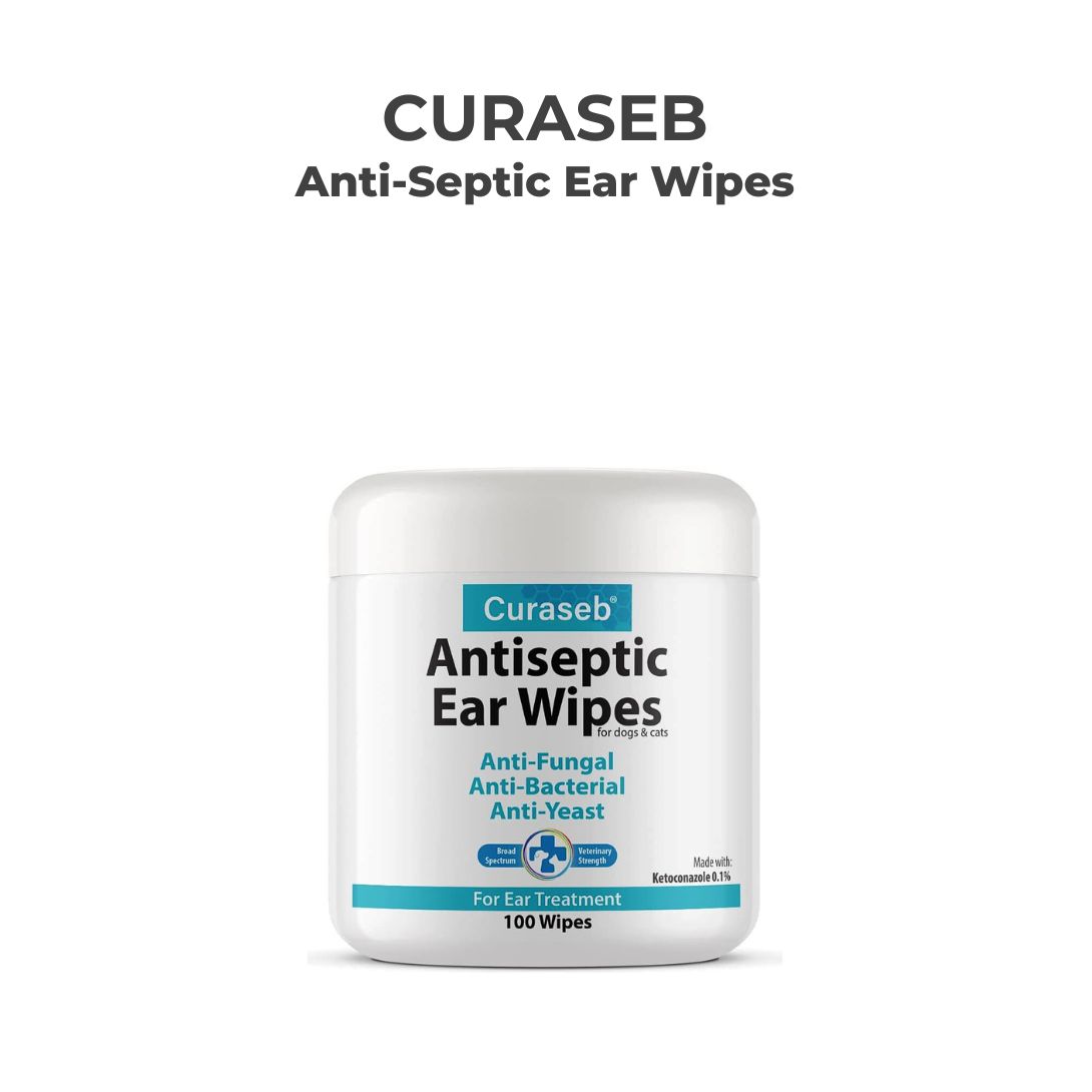 Shop Curaseb Ear at Best Prices for Your Needs Lazada Singapore