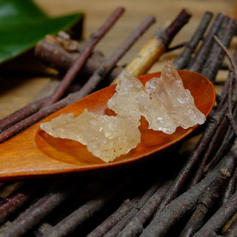 Tuyết Yến Vân Nam (Nguyên Liệu Chè Dưỡng Nhan) - Hương Thảo Mộc