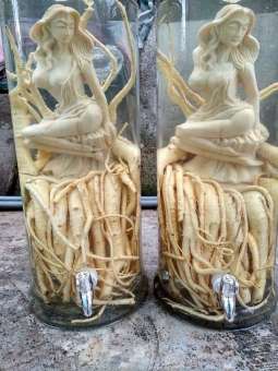 Củ đinh lăng điêu khắc - Hình tùy chọn theo mẫu yêu cầu - Mỗi bình 7l chưa cơ rựu