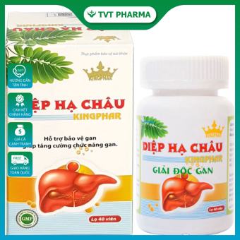 Viên Uống Giải Độc Gan Diệp Hạ Châu Kingphar ( Hộp 40 Viên )