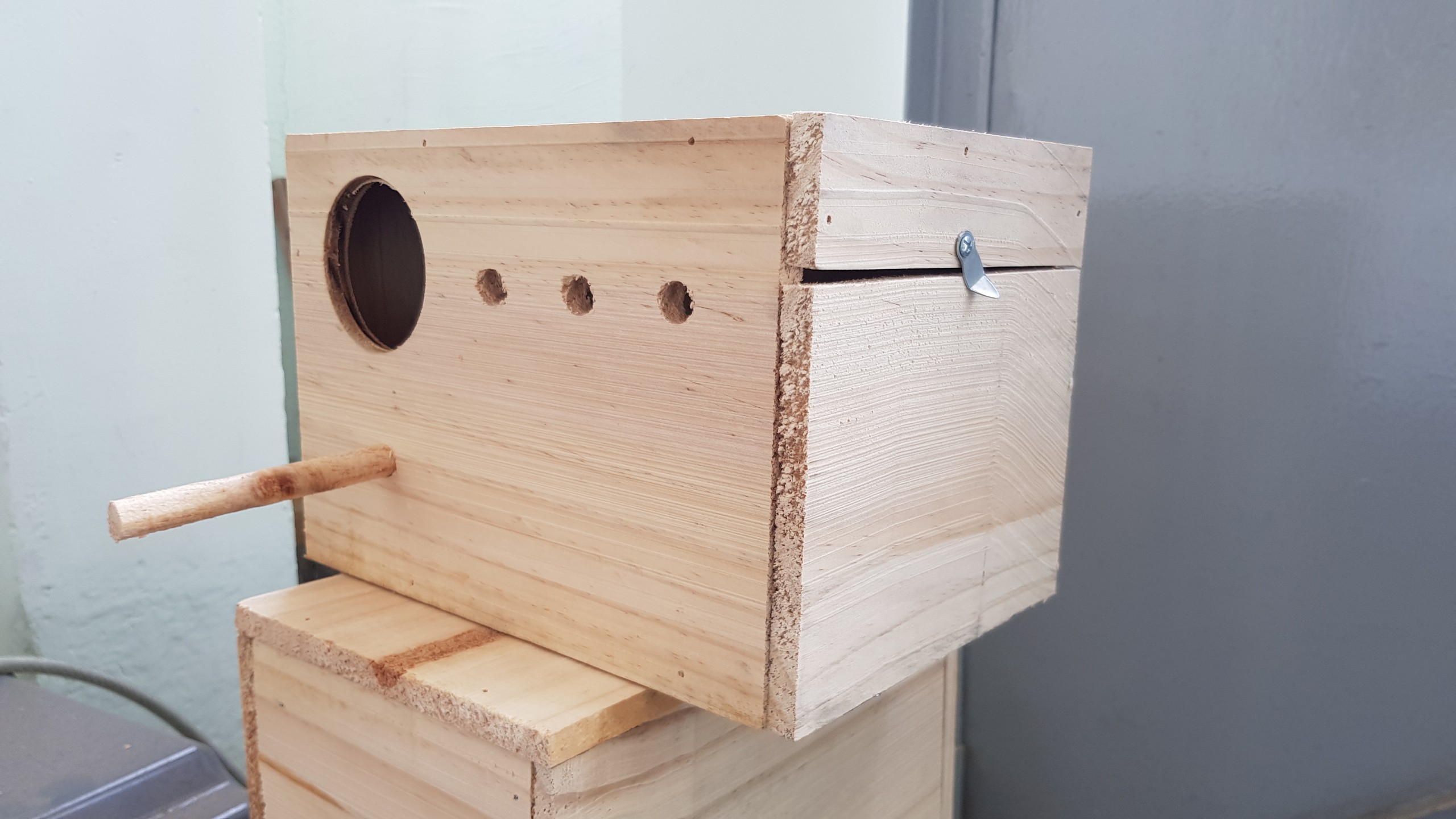 Tổ cho vẹt yến phụng, lovebird, cockatiel, greencheck