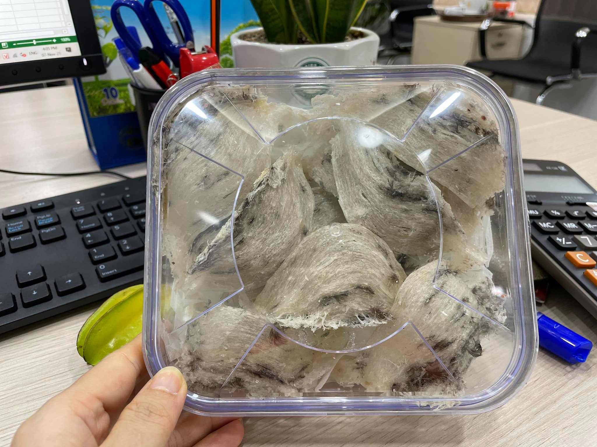 Yến thô nguyên tổ thượng hạng còn lông tự nhiên chưa qua chế biến Hộp 100gram