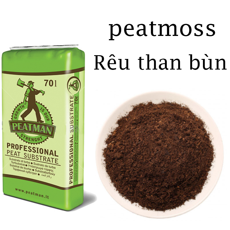 Peat moss -Rêu Than Bùn - Peatman