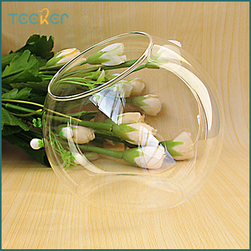 Teeker bể cá mini bể cá mini để bàn bể cá cho cá vàng betta bình thủy tinh mọng nước cá nhỏ đường kính 15cm