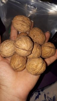 Quả óc chó mỹ Jumbo thượng hạng nhập từ Mỹ loại 500G