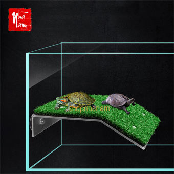 Đế rùa cỏ phơi nắng và đựng thức ăn cho rùa cảnh có đế hít cho bể cá thuỷ sinh, Giá Thể Cho Rùa Ăn, Bò Sát Ngắm Cảnh
