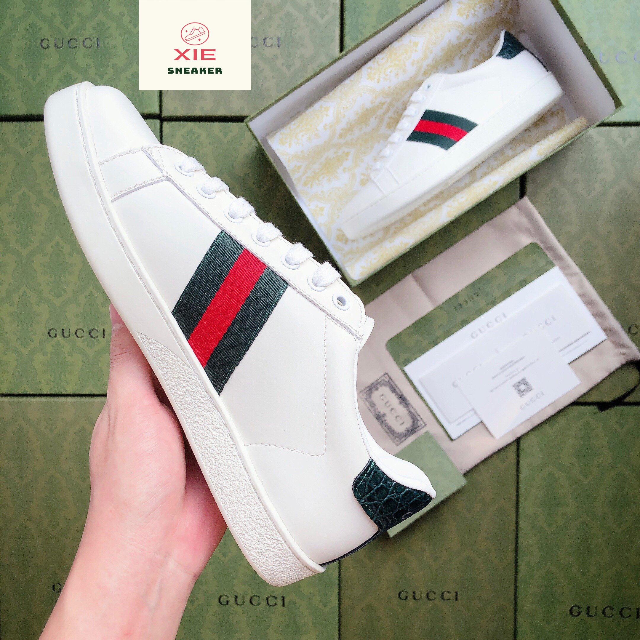 Giày gucci ace trơn - 1.1 +